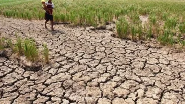 Pemerintah Antisipasi Lonjakan Inflasi Akibat El Nino