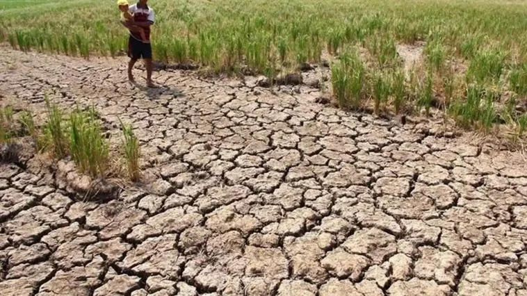 Pemerintah Antisipasi Lonjakan Inflasi Akibat El Nino