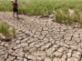 Pemerintah Antisipasi Lonjakan Inflasi Akibat El Nino