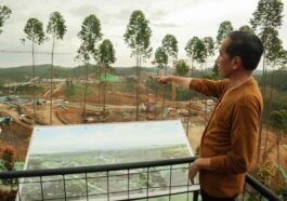 insentif pajak ikn nusantara