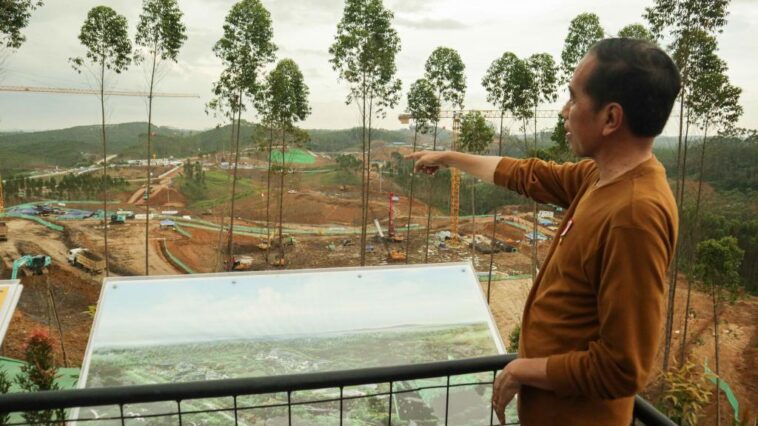 insentif pajak ikn nusantara