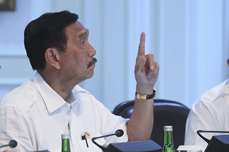 Luhut: Jangan Lambat Beri Insentif Pajak