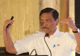 luhut siperibun pajak sawit