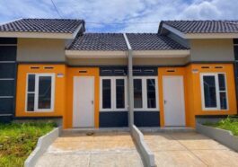 PPN Rumah
