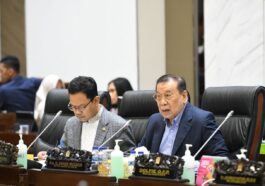 target rasio perpajakan