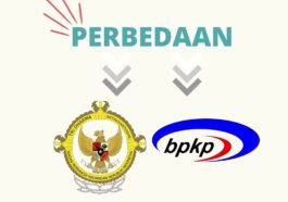Pembagian Tugas dan Wewenang BPKP dan BPK