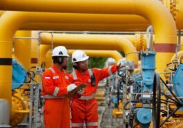 PGN Dekarbonisasi Industri Kelapa Sawit