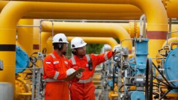 PGN Dekarbonisasi Industri Kelapa Sawit