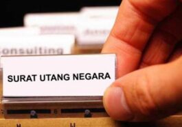Pemerintah Tawarkan SUN
