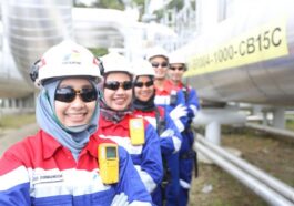 PGE Catatkan Laba