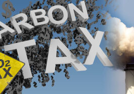 Pemimpin Afrika Usulkan Pajak Karbon Global