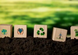 Mengapa UMKM Perlu Terapkan ESG