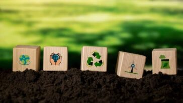 Mengapa UMKM Perlu Terapkan ESG