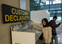 Customs Declaration: Apa