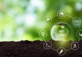 Latar Belakang “Net Zero Emissions”