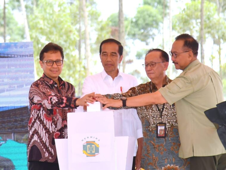 RS Hermina di IKN