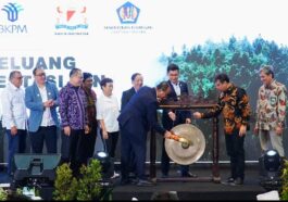 Insentif Perpajakan Ciptakan Ekosistem Investasi
