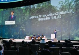 COP28 Jokowi