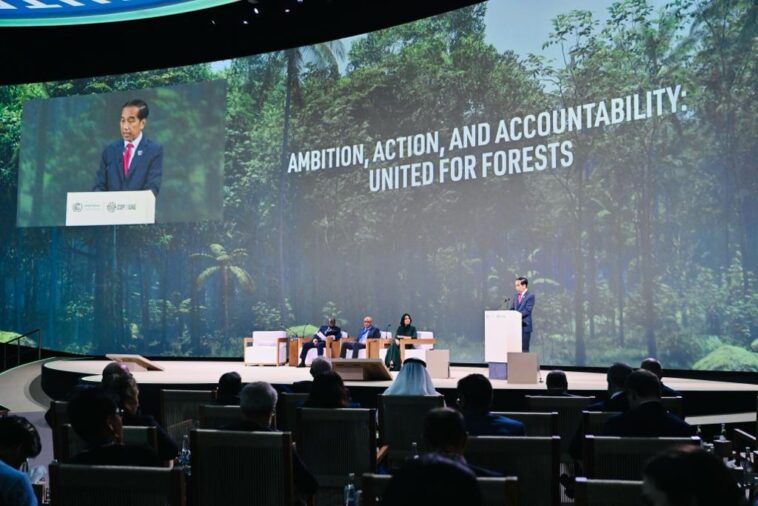 COP28 Jokowi
