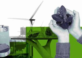 Renewable Energy Certificate