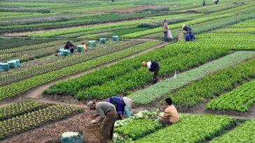 Diskon Pengurangan PBB