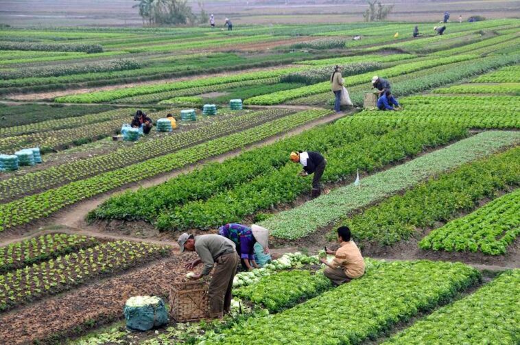 Diskon Pengurangan PBB