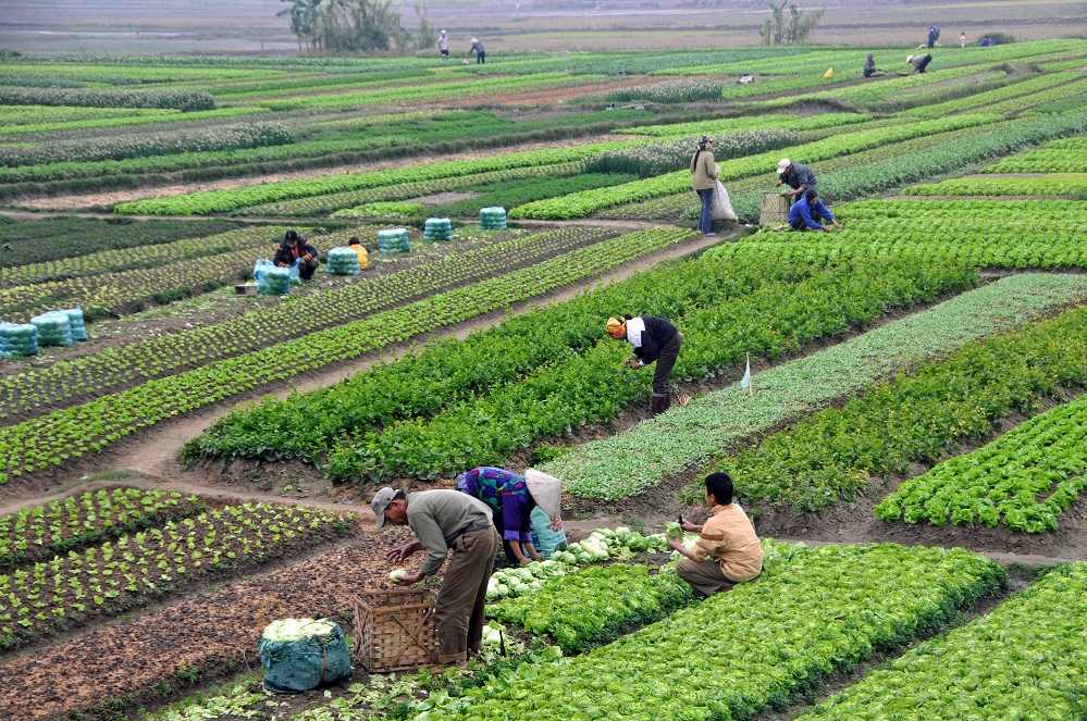 Diskon Pengurangan PBB