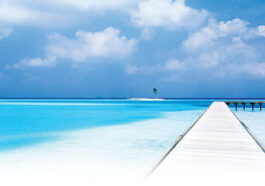 Mengenal Filosofi dan Penerapan “Blue Ocean Strategy”