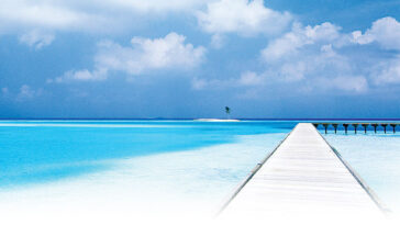 Mengenal Filosofi dan Penerapan “Blue Ocean Strategy”