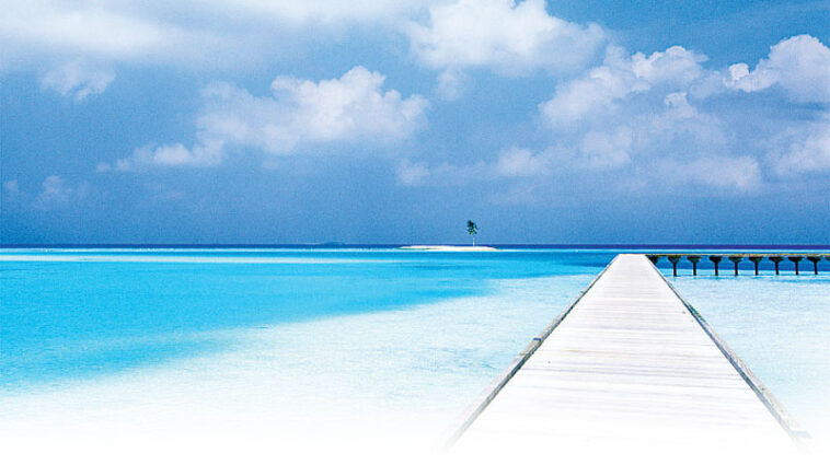 Mengenal Filosofi dan Penerapan “Blue Ocean Strategy”