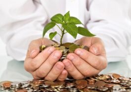 Strategi Investasi Reksa Dana yang Bikin Cuan di 2024