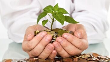 Strategi Investasi Reksa Dana yang Bikin Cuan di 2024
