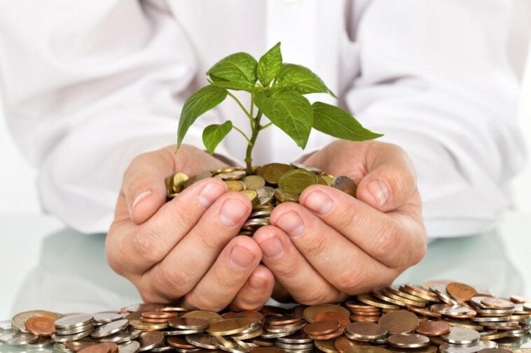 Strategi Investasi Reksa Dana yang Bikin Cuan di 2024