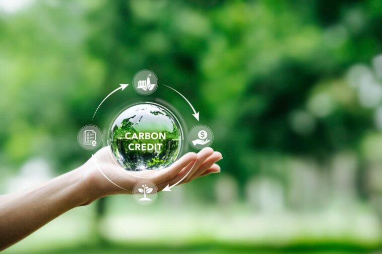 Perbedaan “Carbon Credit” dan “Carbon Offset”