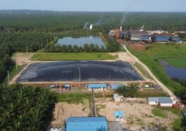 PTPN III dan Pertamina NRE Sepakat Komersialisasi Kredit Karbon