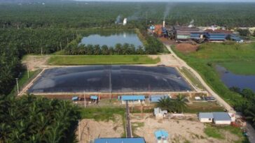 PTPN III dan Pertamina NRE Sepakat Komersialisasi Kredit Karbon