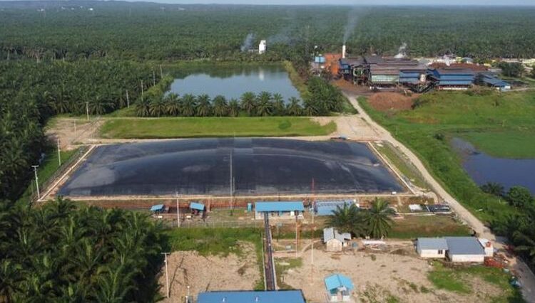 PTPN III dan Pertamina NRE Sepakat Komersialisasi Kredit Karbon