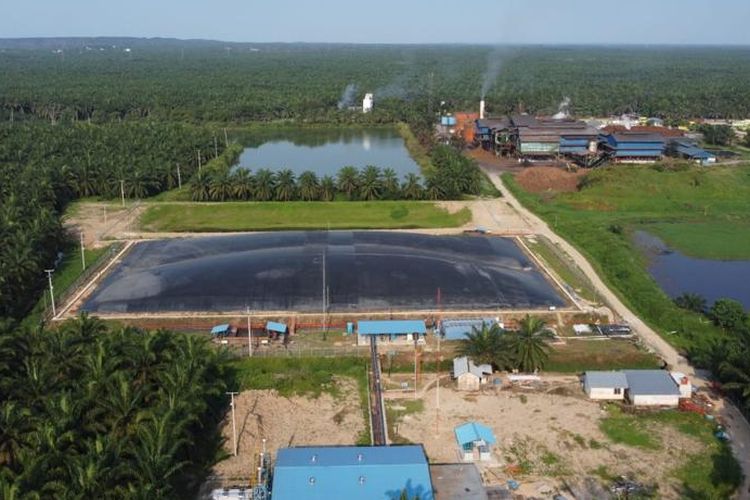 PTPN III dan Pertamina NRE Sepakat Komersialisasi Kredit Karbon