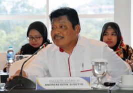 DPR Usul Tunda Kenaikan Tarif PPN 12 Persen