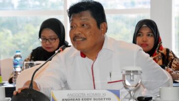 DPR Usul Tunda Kenaikan Tarif PPN 12 Persen