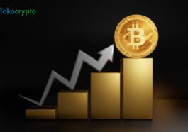 Tokocrypto Bantu Investor Bayar Pajak Kripto dan Lapor SPT