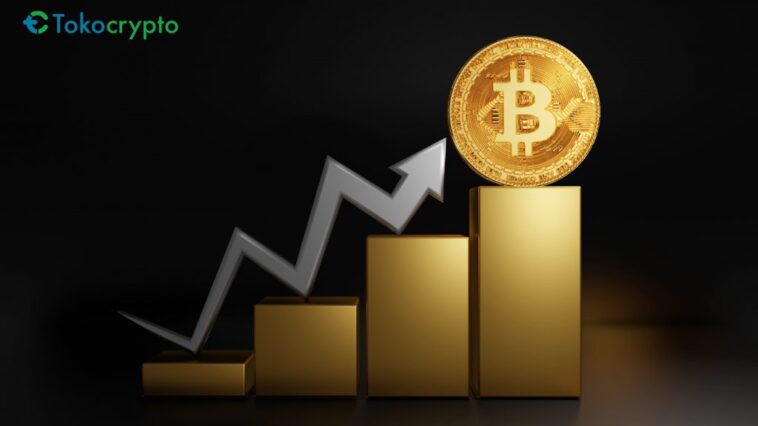 Tokocrypto Bantu Investor Bayar Pajak Kripto dan Lapor SPT