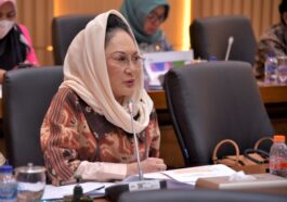 DPR Minta Pemerintah Serius Gali Potensi Pajak Digital
