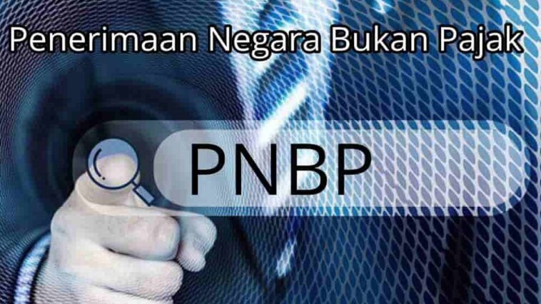 Apa Itu PNBP