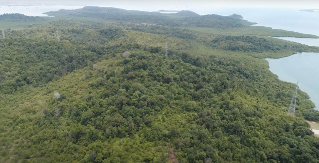 Jokowi Resmi Tetapkan KEK Tanjung Sauh