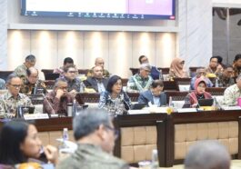 Sri Mulyani: Dua Pilar