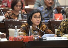 Sri Mulyani: Pungutan Pajak Daerah Harus Terukur