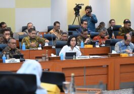 Penerimaan Pajak 2024
