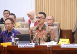 PLN Setor Dividen Rp 3