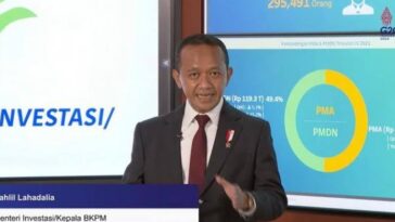 Realisasi Investasi Semester I-2024
